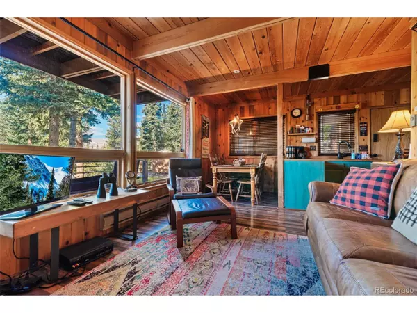 Fairplay, CO 80440,1248 Mountain View Dr