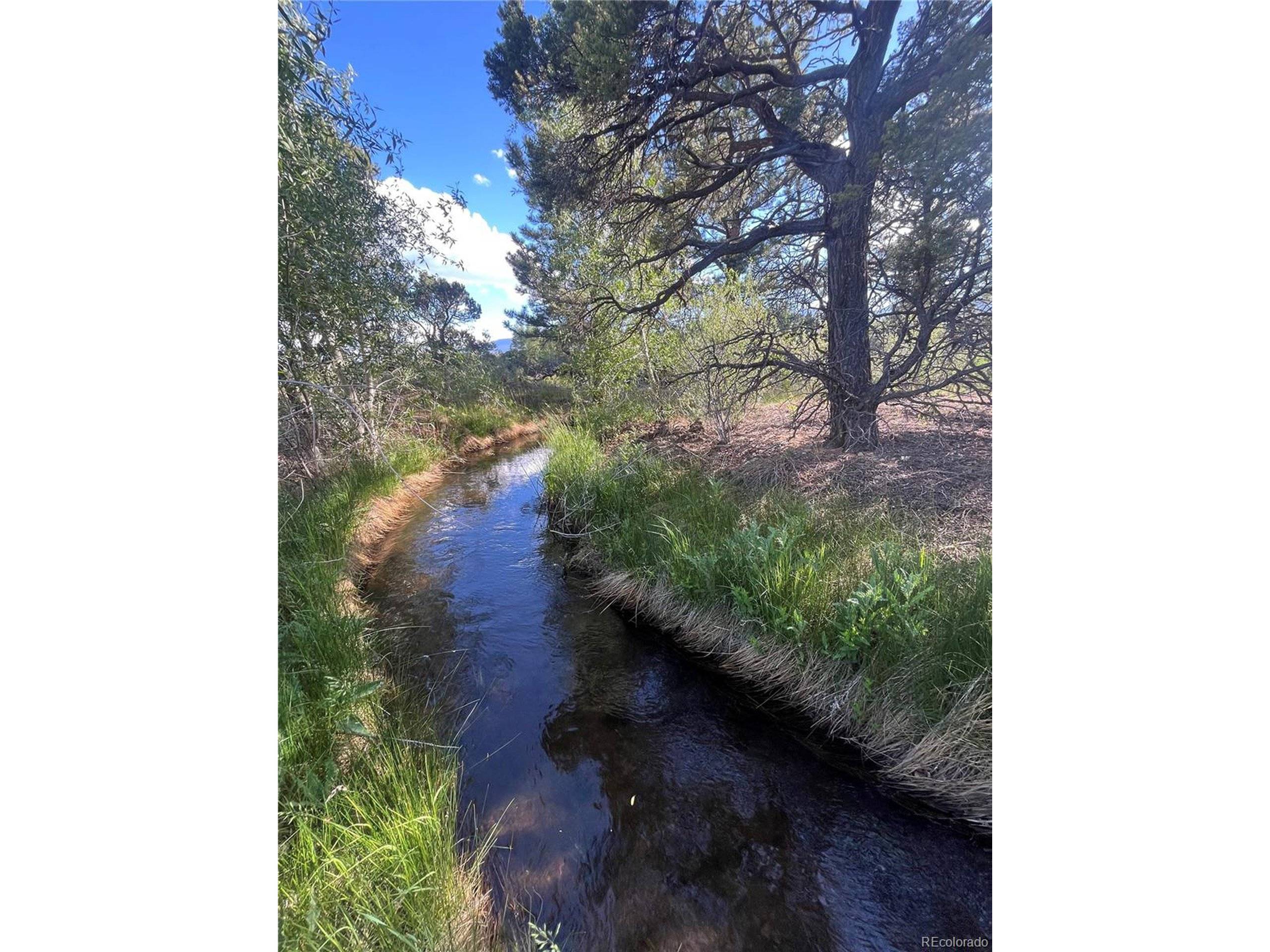Buena Vista, CO 81211,33077 US Highway 24