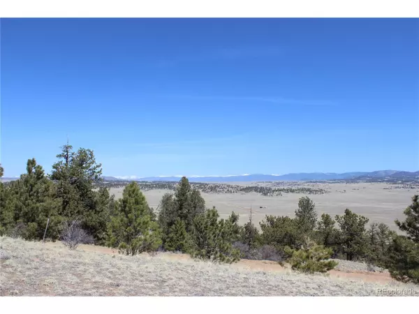 Hartsel, CO 80449,968 Settele Dr