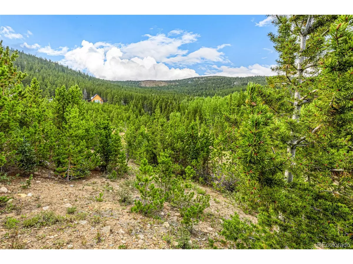Idaho Springs, CO 80452,Aspen Rd