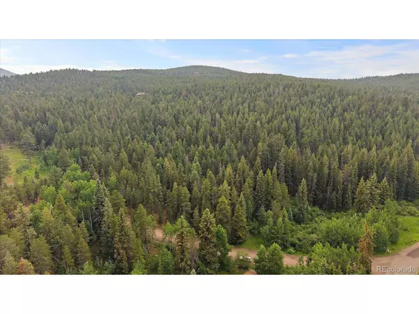 Conifer, CO 80433,27578 Timber Trl