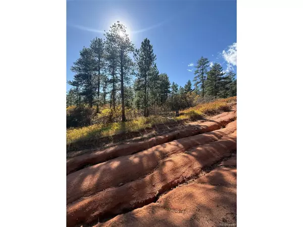 8181 Bannock Dr, Larkspur, CO 80118