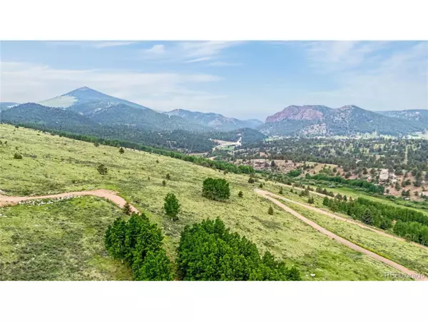 Cripple Creek, CO 80813,306 Troy Way