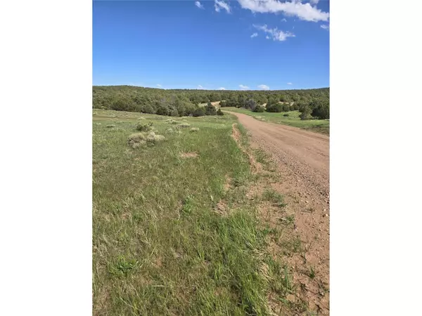 Walsenburg, CO 81089,90 River Ridge Ranch