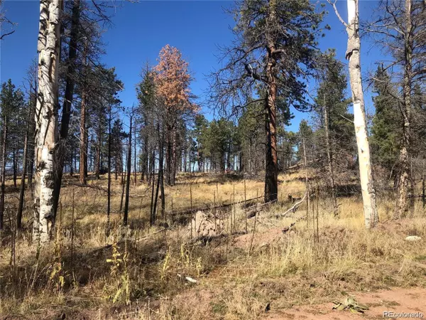 Fort Garland, CO 81133,0 Marriot Circle