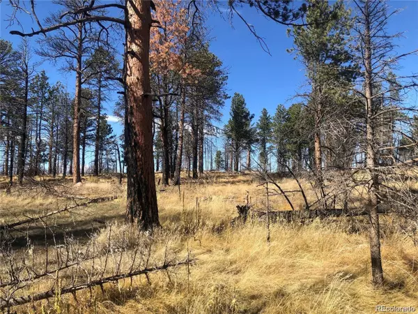 Fort Garland, CO 81133,0 Marriot Circle