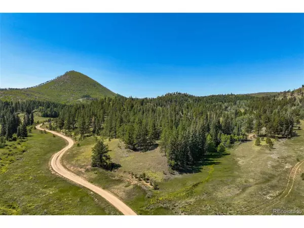 Divide, CO 80814,11068 Trail Creek Rd