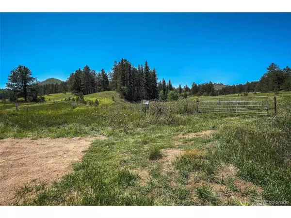 Divide, CO 80814,11068 Trail Creek Rd