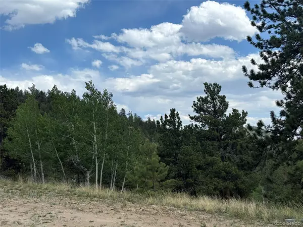 Como, CO 80432,287 Warclub Ct
