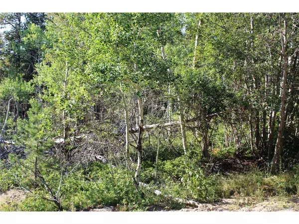 Black Hawk, CO 80422,28 Sunflower Ln