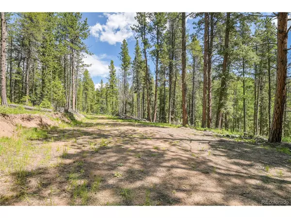 Conifer, CO 80433,7 S Wallace Ave