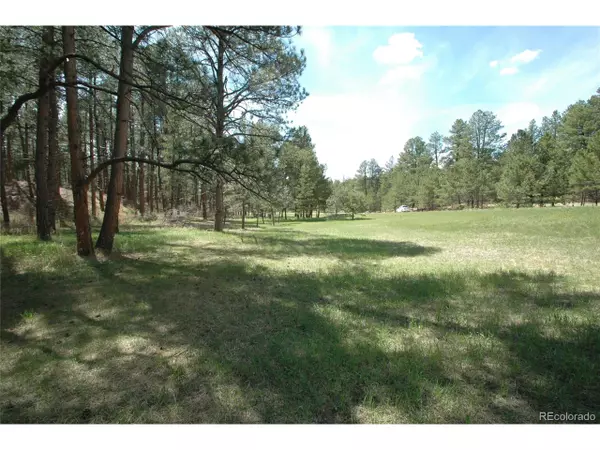 856 Woodridge Rd, Franktown, CO 80116