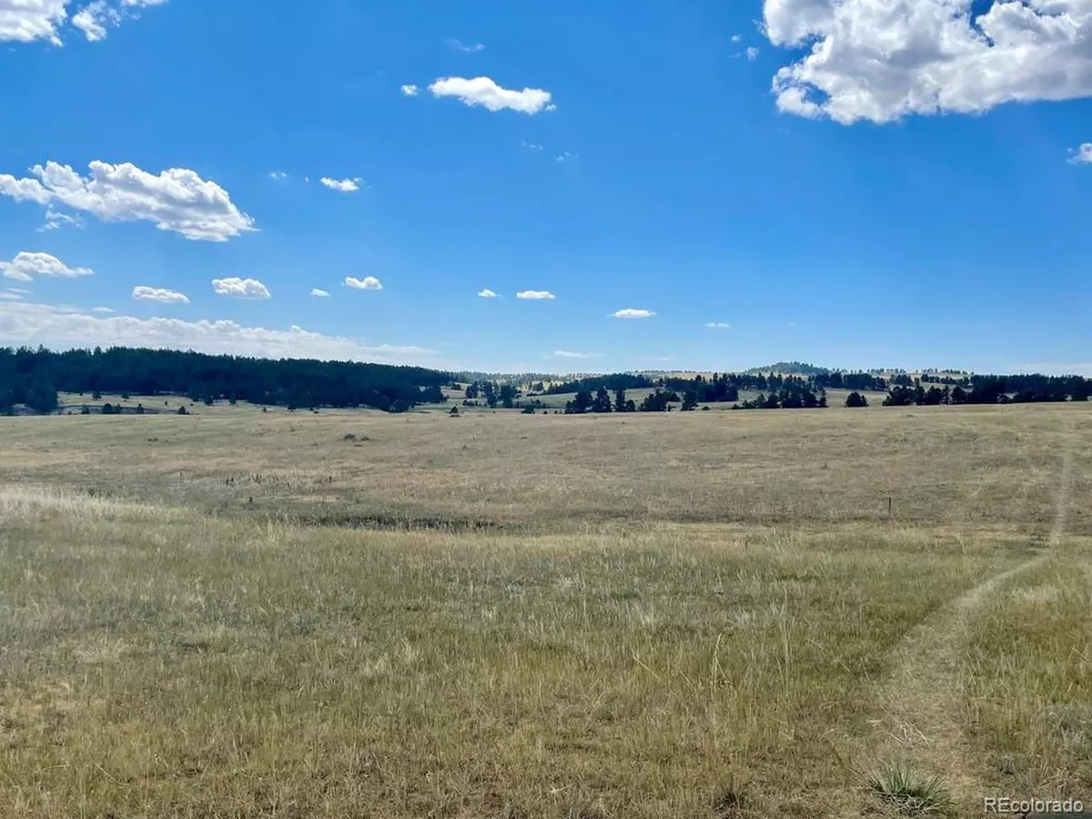 Elbert, CO 80106,11754 County Road 102