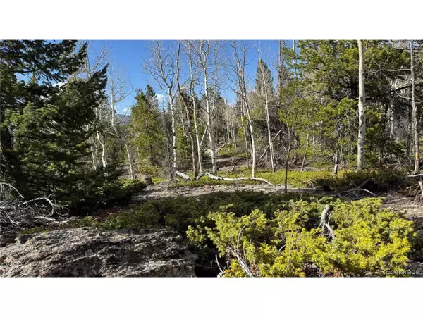 Central City, CO 80427,2 Pewabic Mine Rd