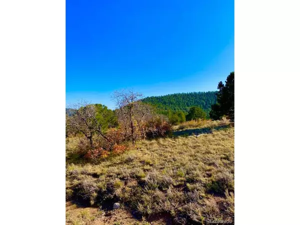 Cotopaxi, CO 81223,Bird Point Dr