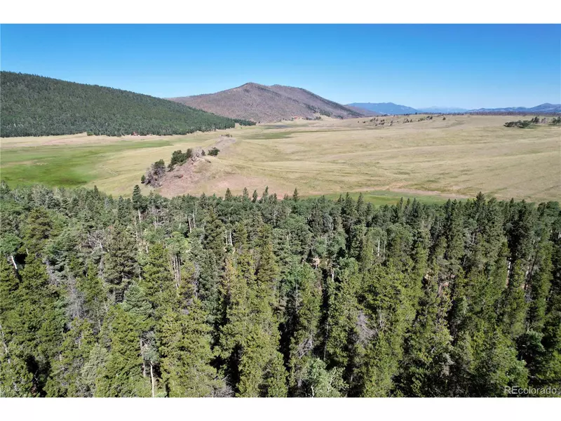 2452 Petito Dr, Fort Garland, CO 81133