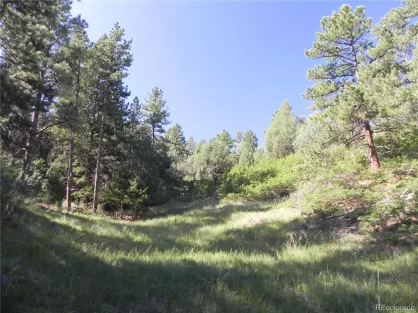 Larkspur, CO 80118,4700 Comanche Dr