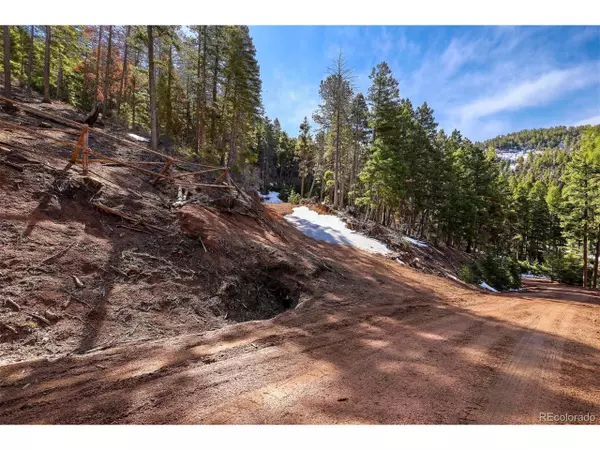 13238 Andiron Way, Larkspur, CO 80118