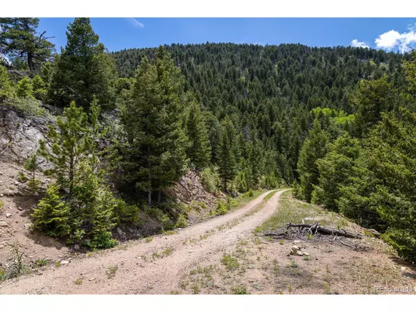 Golden, CO 80403,1259 Chute Rd