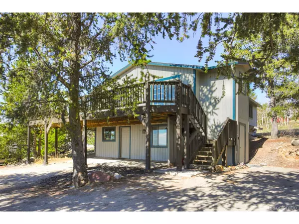 Fairplay, CO 80440,255 Park View Dr