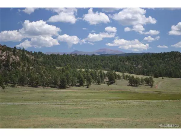 Florissant, CO 80816,1097 County 111 Rd