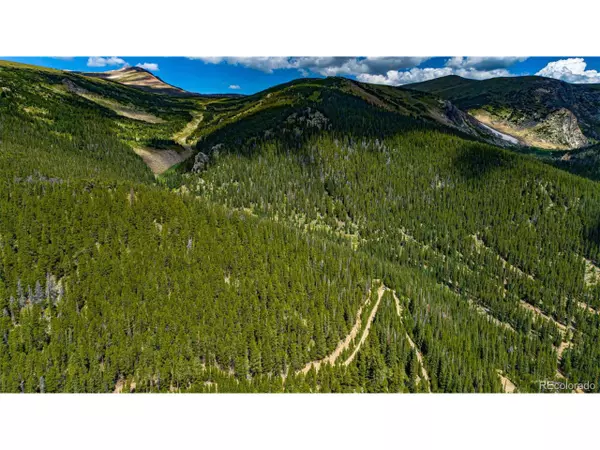 Idaho Springs, CO 80452,1 Nebraska Cir