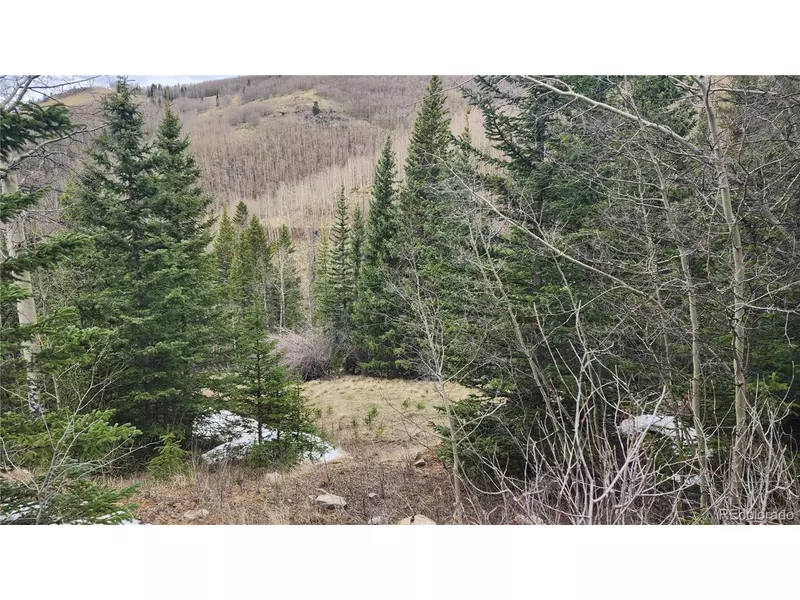 6435 Bronfman Rd, San Luis, CO 81152