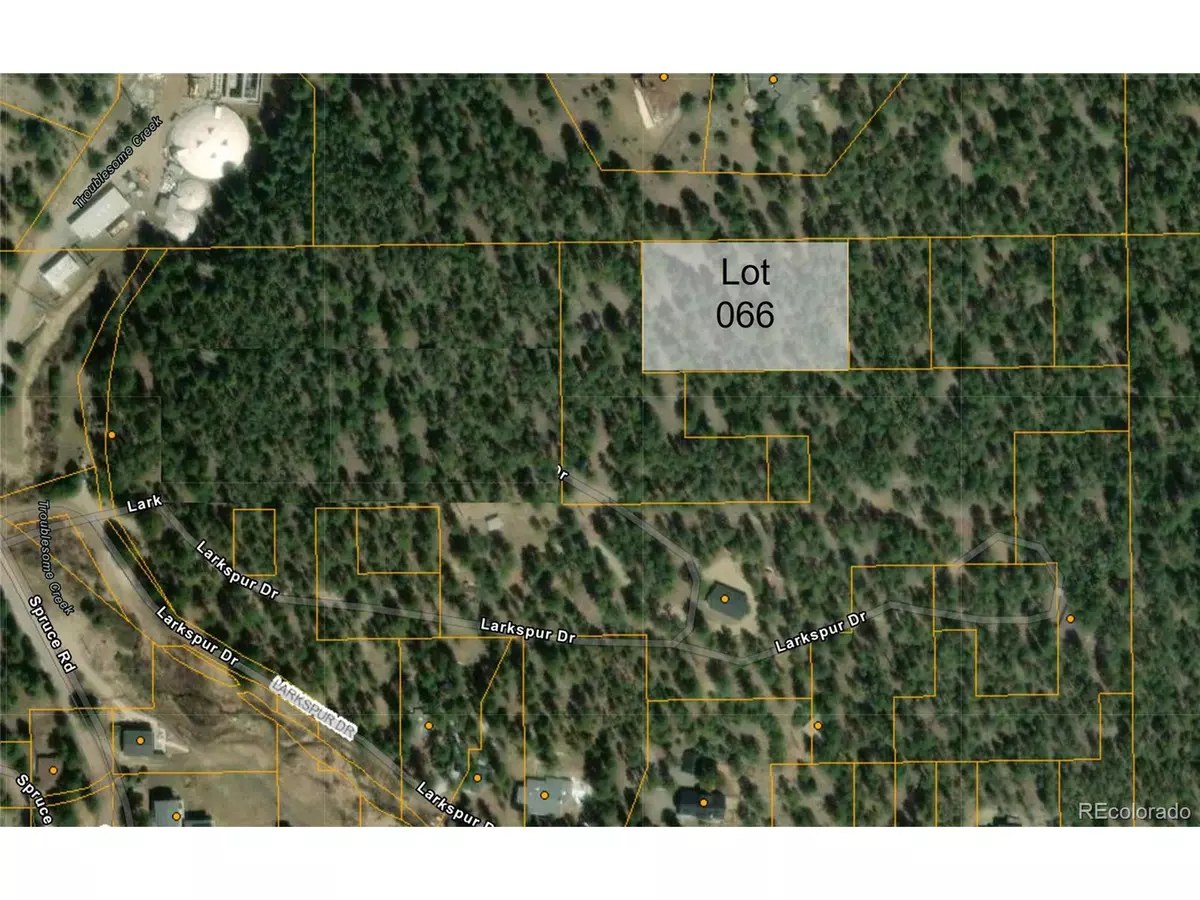 Evergreen, CO 80439,66 Larkspur Dr