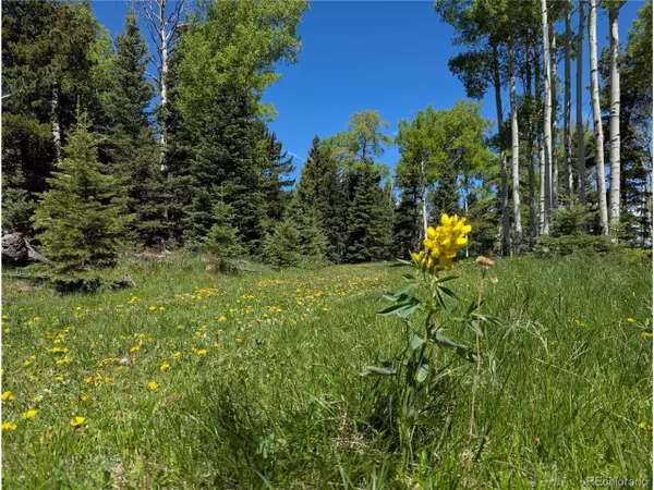 Fort Garland, CO 81133,3119 Segal Pl