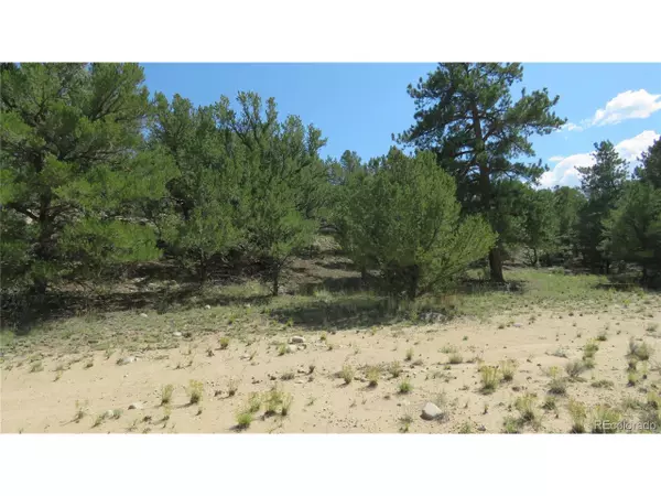 Nathrop, CO 81236,14964 Chalk Creek Dr