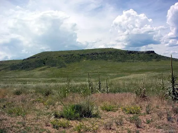 Larkspur, CO 80118,2 Twin Bluffs Rd