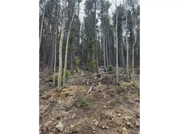 Black Hawk, CO 80422,Address not disclosed