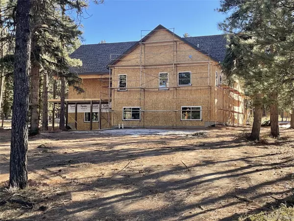 Woodland Park, CO 80863,620 Chipmunk Dr