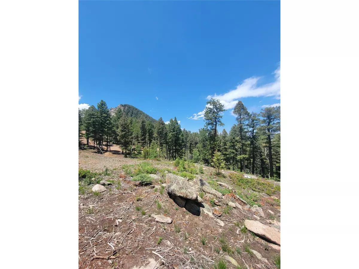 Conifer, CO 80433,23953 Peak Dr