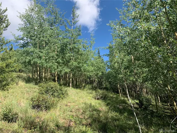 Alma, CO 80420,Address not disclosed