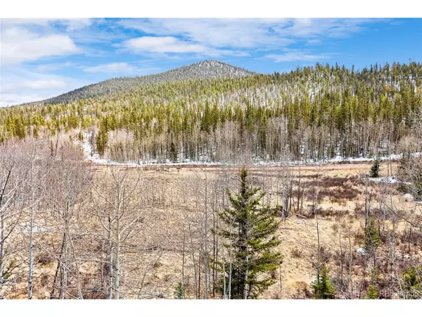 Jefferson, CO 80456,1199 Chippewa Rd