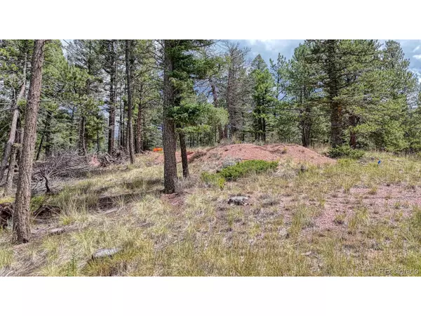 Florissant, CO 80816,18 Falcon Cir