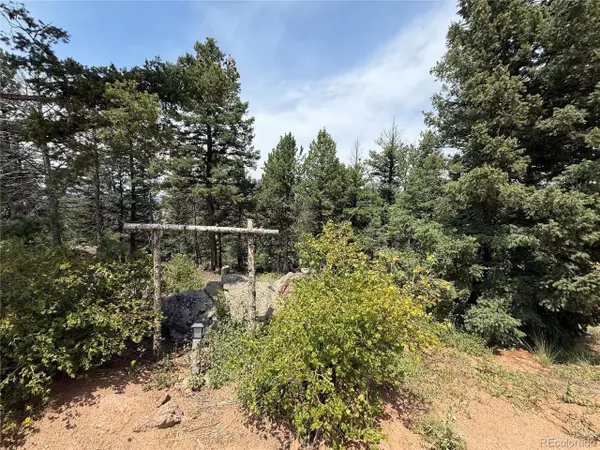 Florissant, CO 80816,3546 N Mountain Estates Rd