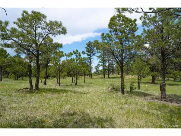 Ramah, CO 80832,Parcel #5 County Road 122