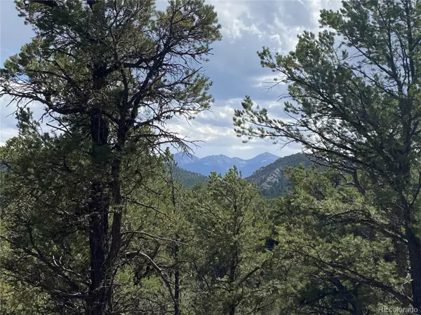 Cotopaxi, CO 81223,82 12th Trl