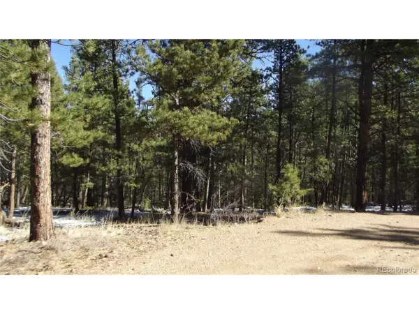 Lake George, CO 80827,299 Pine Forest Rd
