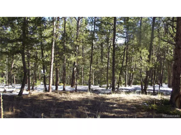 Lake George, CO 80827,299 Pine Forest Rd