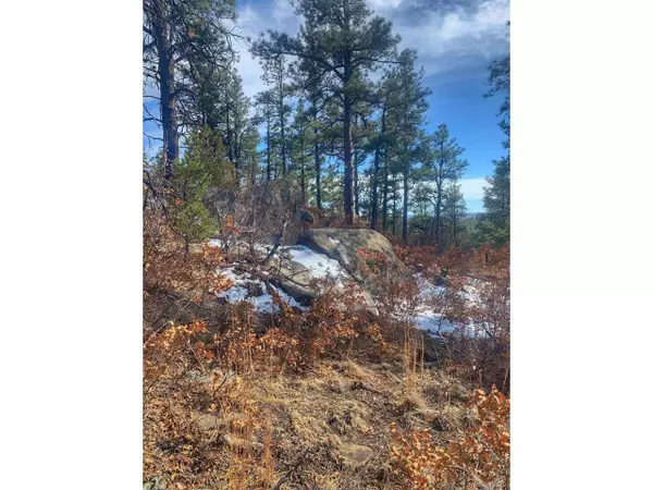 Boncarbo, CO 81024,122 Spanish Highlands