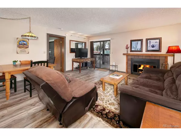 805 S 5th Ave #262, Frisco, CO 80443