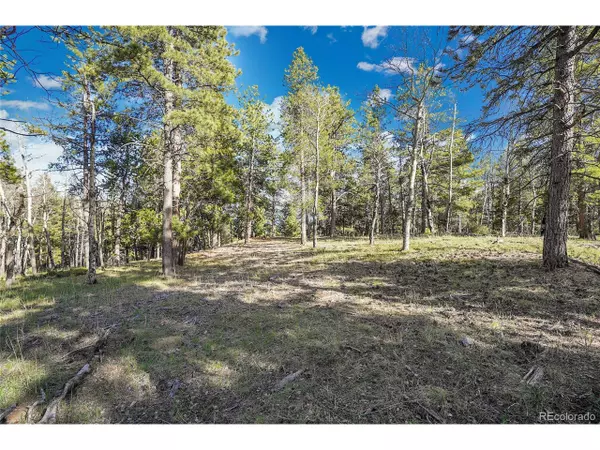 Conifer, CO 80433,Molly Dr, Lot #3
