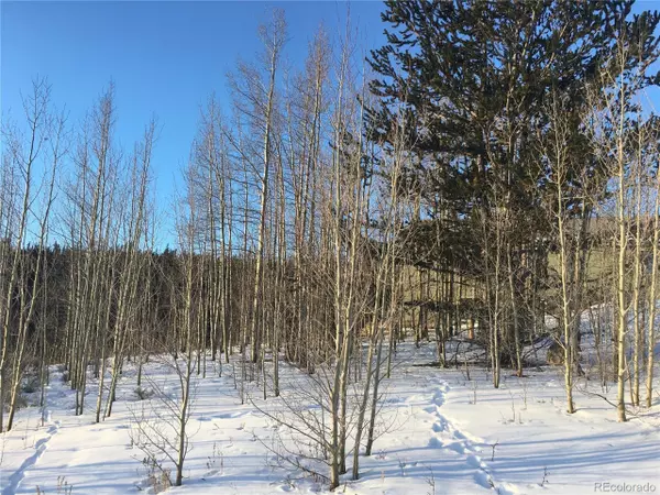 55 N Aspen St, Alma, CO 80420