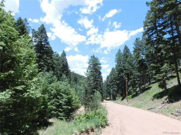 Larkspur, CO 80118,13175 Spruce Creek Cir