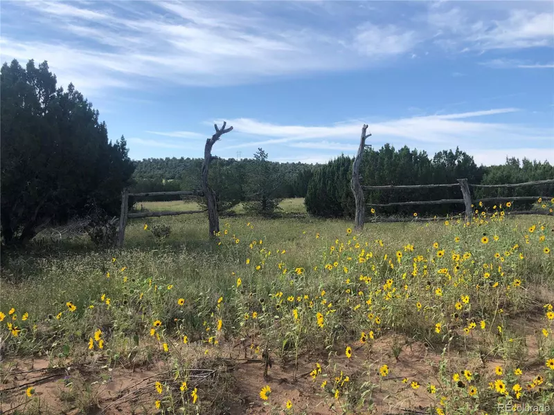 86 Hellifino Rd, Walsenburg, CO 81089