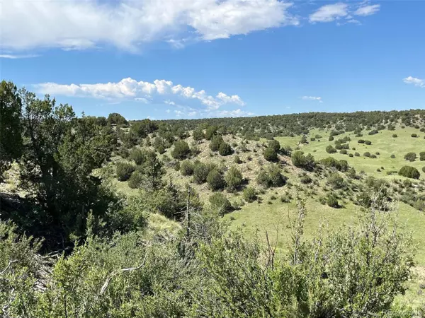 Pueblo, CO 81004,Railroad Springs Rd