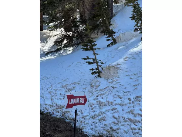 Fairplay, CO 80440,630 Silverheels Pl